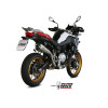 Silencieux MIVV Delta Race inox/casquette carbone BMW F850GS